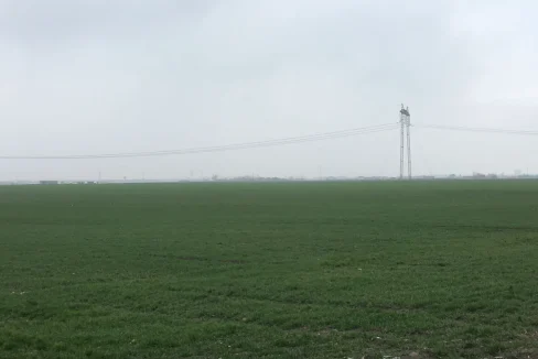 WhatsApp Image 2018-02-12 at 09.13.06