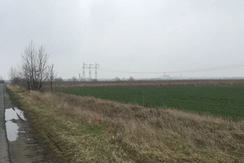 WhatsApp Image 2018-02-12 at 09.13.17