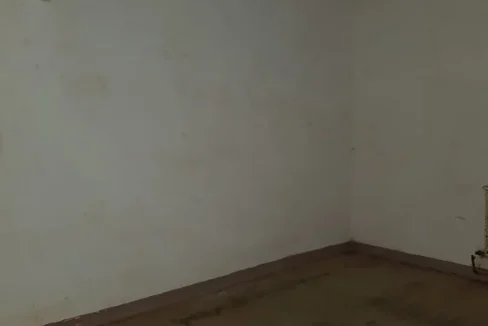 WhatsApp Image 2018-07-03 at 12.13.08