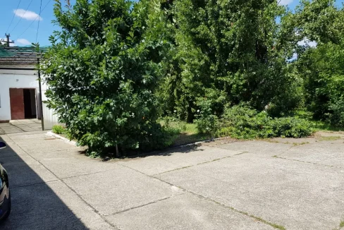 WhatsApp Image 2018-07-03 at 12.13.09 (3)