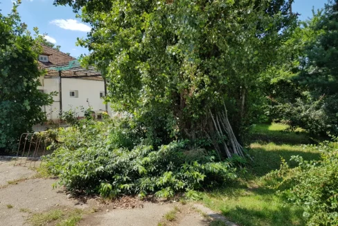 WhatsApp Image 2018-07-03 at 12.13.10