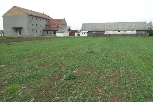 WhatsApp Image 2018-11-23 at 10.43.01