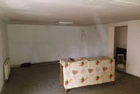 WhatsApp Image 2019-01-18 at 11.28.35 (1)