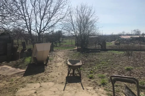 WhatsApp Image 2021-01-11 at 15.00.03