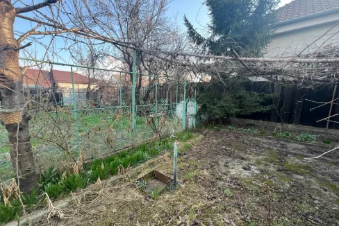 WhatsApp Image 2024-03-06 at 09.36.35 (10)