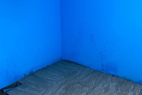 WhatsApp Image 2022-02-22 at 10.32.06