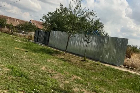 WhatsApp Image 2022-08-24 at 11.42.19 (1)