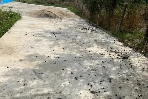 WhatsApp Image 2022-08-24 at 11.42.23 (2)