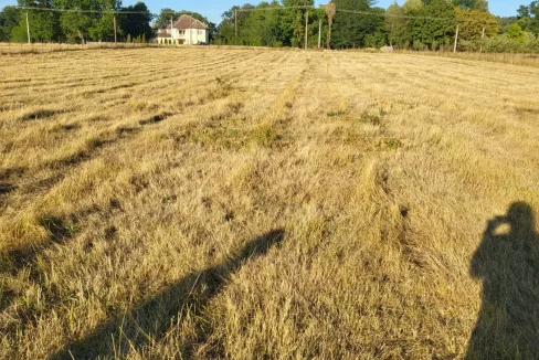 WhatsApp Image 2022-08-12 at 12.15.59