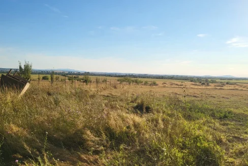 WhatsApp Image 2022-08-12 at 12.16.00