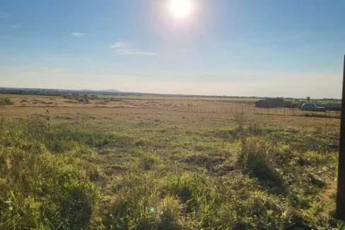 WhatsApp Image 2022-08-12 at 12.16.01