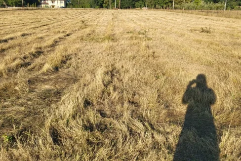 WhatsApp Image 2022-08-12 at 12.16.02