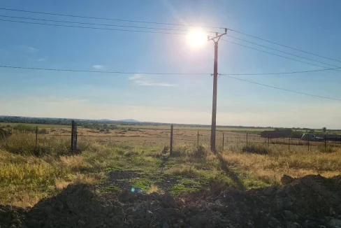 WhatsApp Image 2022-08-12 at 12.16.03