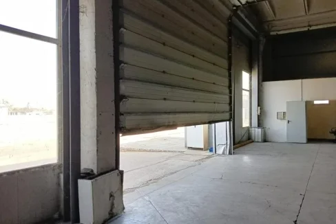 WhatsApp Image 2022-08-19 at 11.30.16