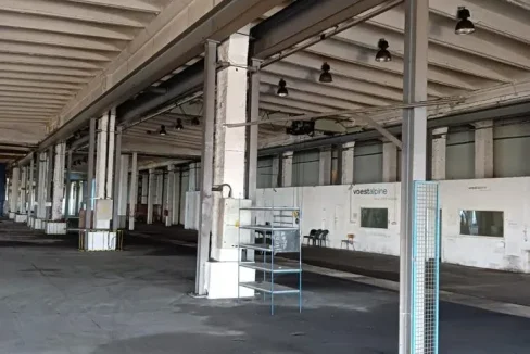 WhatsApp Image 2022-08-19 at 11.30.17