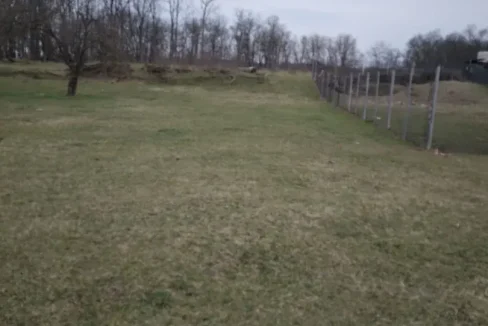 WhatsApp Image 2023-03-07 at 09.10.02