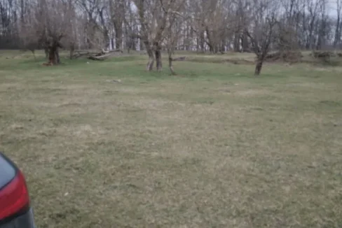 WhatsApp Image 2023-03-07 at 09.10.03