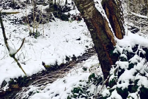 WhatsApp Image 2023-04-20 at 11.28.50 (1)