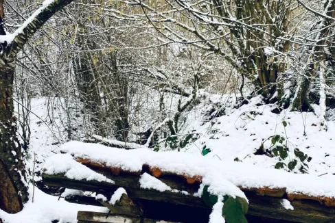 WhatsApp Image 2023-04-20 at 11.28.50