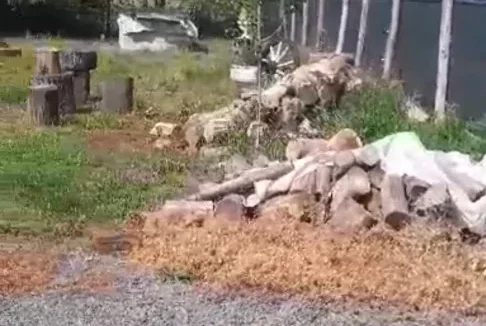 Screenshot_20230720_141641_Gallery