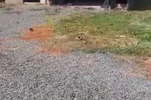 Screenshot_20230720_141905_Gallery