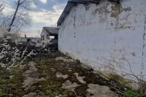 WhatsApp Image 2024-04-16 at 13.13.06 (1)