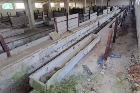 WhatsApp Image 2024-04-16 at 13.13.06 (2)