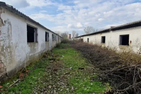 WhatsApp Image 2024-04-16 at 13.13.06