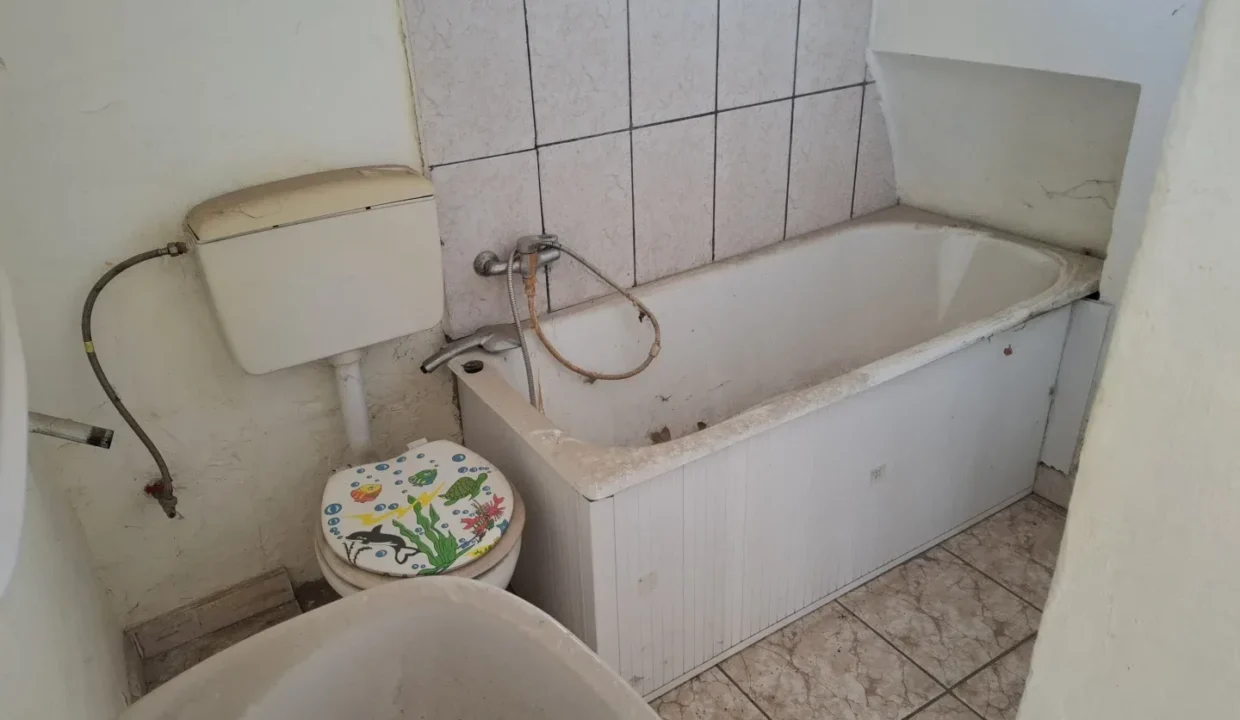 WhatsApp Image 2025-11-17 at 12.40.23 (1)