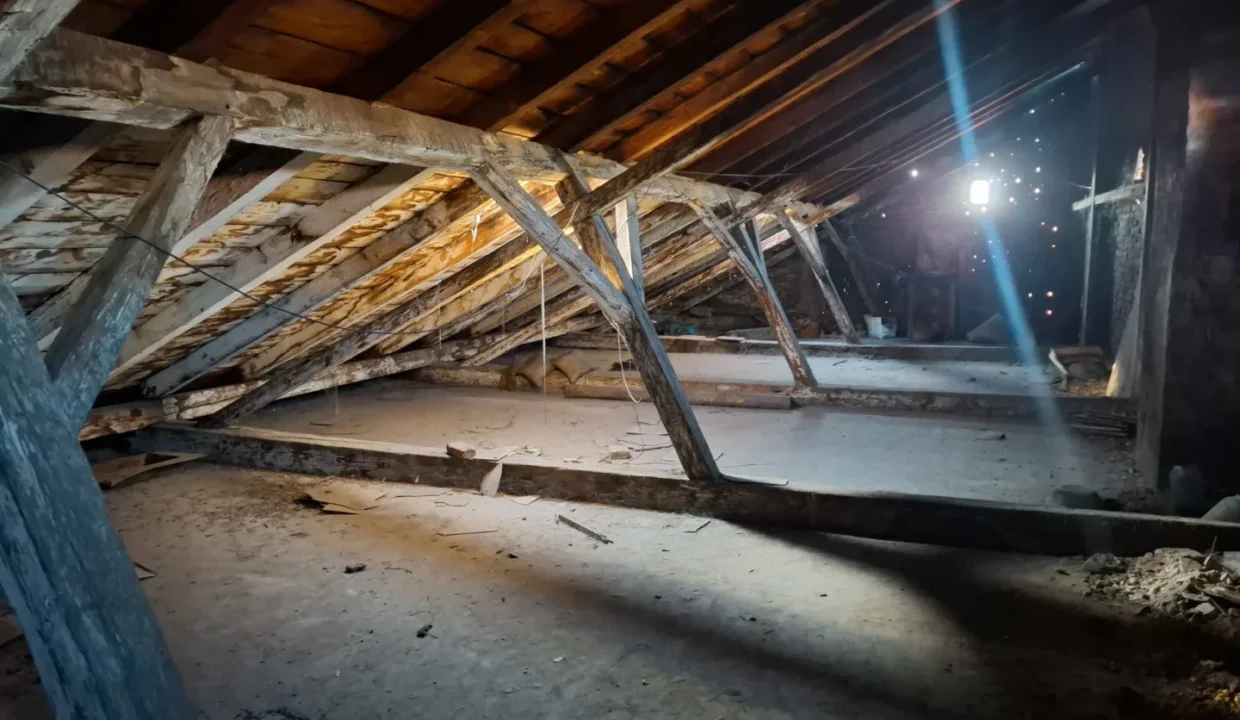 WhatsApp Image 2025-11-17 at 12.40.23