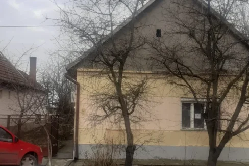 WhatsApp Image 2026-02-17 at 10.33.43 (1)