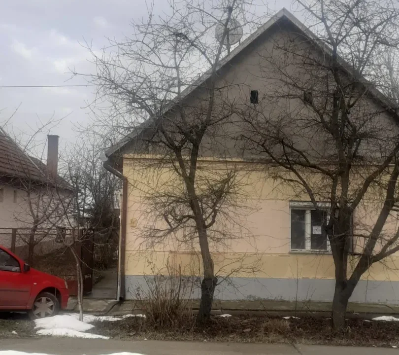 WhatsApp Image 2026-02-17 at 10.33.43 (1)