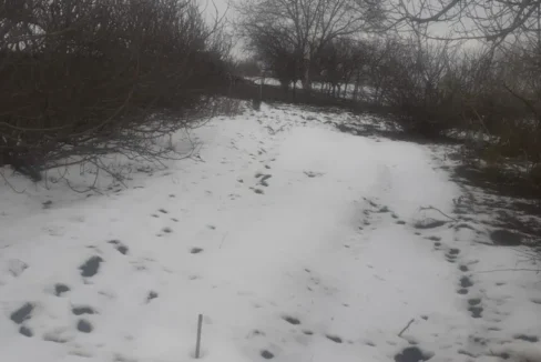 WhatsApp Image 2026-02-17 at 10.33.43 (2)