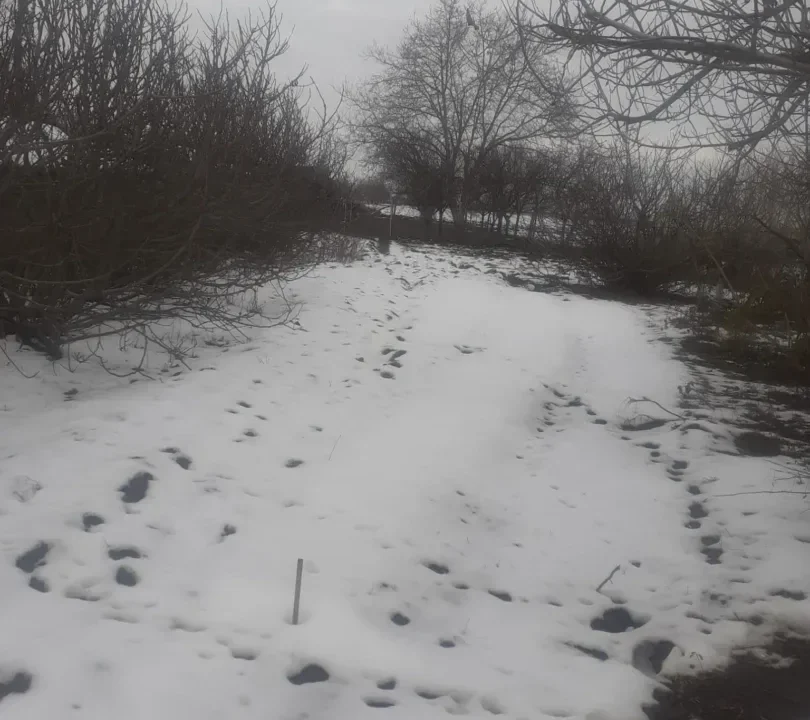 WhatsApp Image 2026-02-17 at 10.33.43 (2)