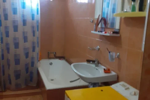 WhatsApp Image 2026-02-17 at 10.33.43