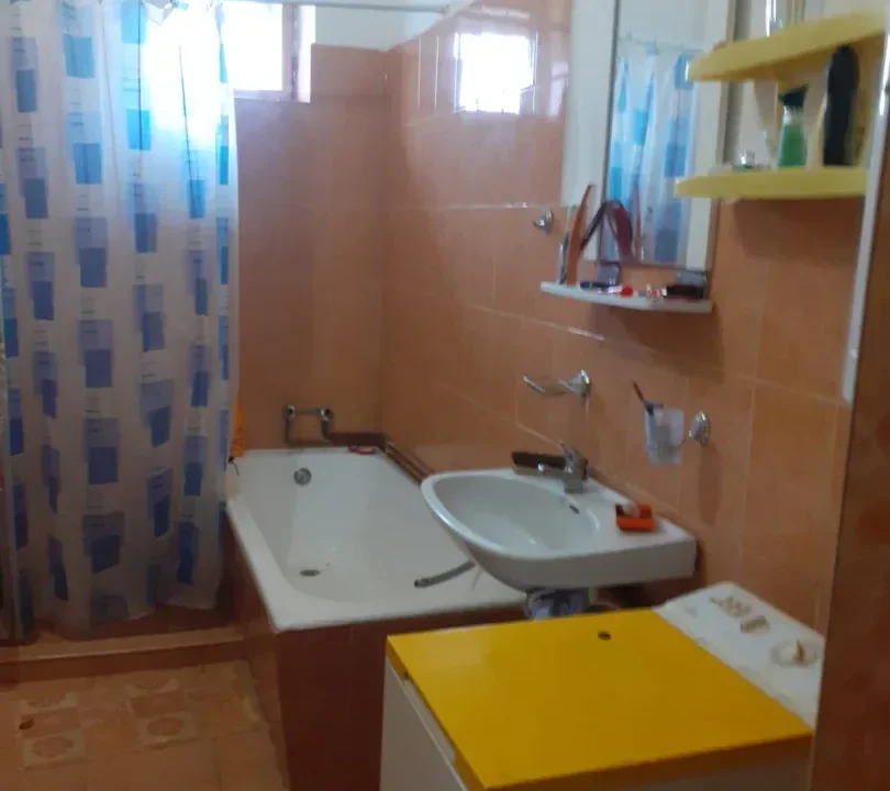 WhatsApp Image 2026-02-17 at 10.33.43