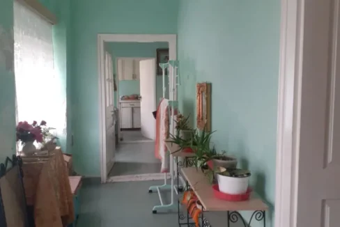 WhatsApp Image 2026-02-17 at 10.33.44 (1)