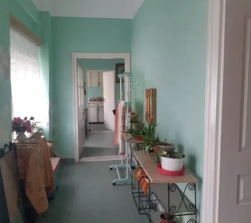 WhatsApp Image 2026-02-17 at 10.33.44 (1)