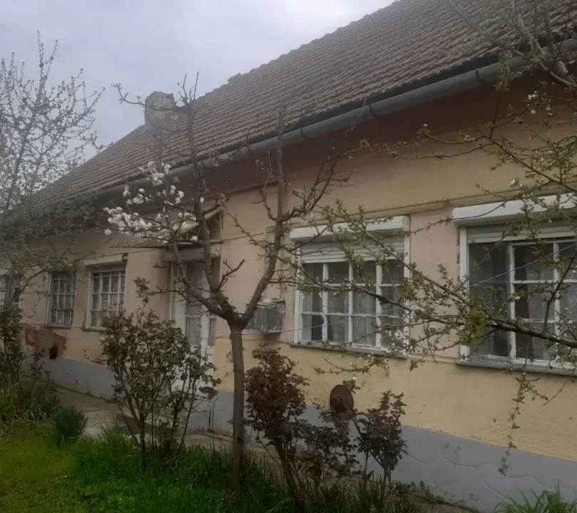 WhatsApp Image 2026-02-17 at 10.33.44 (3)