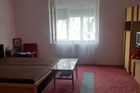 WhatsApp Image 2026-02-17 at 10.33.44 (6)