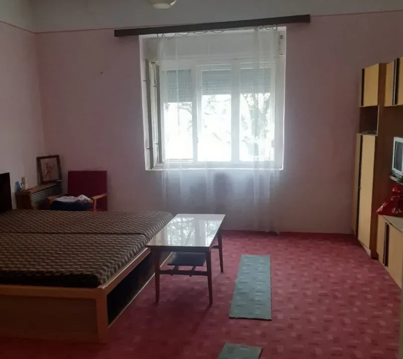 WhatsApp Image 2026-02-17 at 10.33.44 (6)