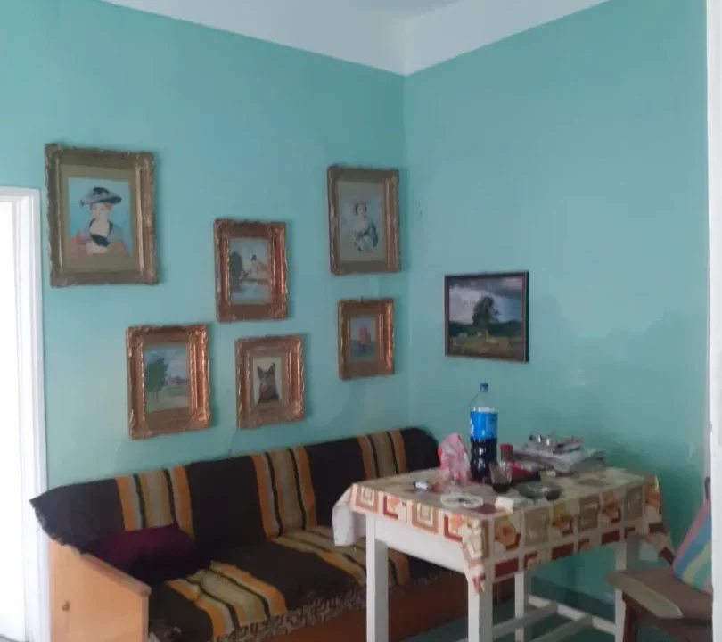 WhatsApp Image 2026-02-17 at 10.33.44