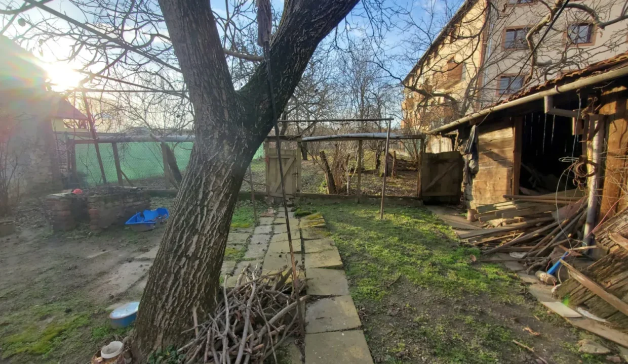 WhatsApp Image 2026-02-17 at 11.47.17 (1)