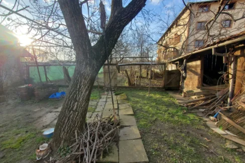 WhatsApp Image 2026-02-17 at 11.47.17 (1)