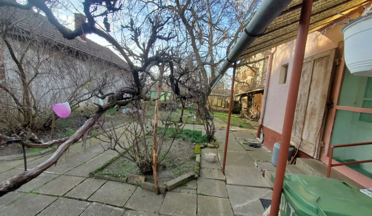 WhatsApp Image 2026-02-17 at 11.47.17