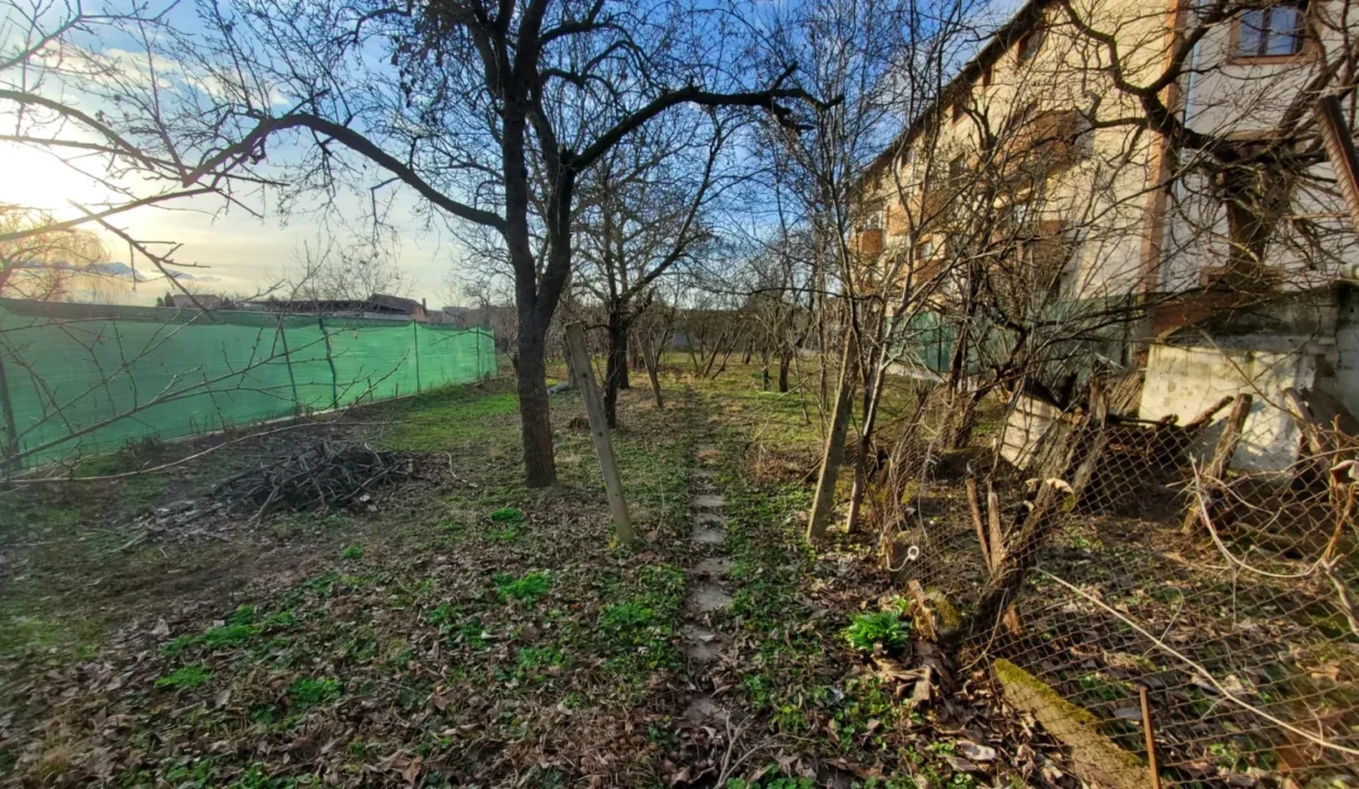 WhatsApp Image 2026-02-17 at 11.47.17 (2)