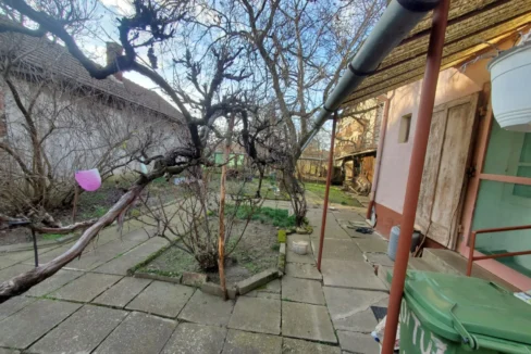 WhatsApp Image 2026-02-17 at 11.47.17