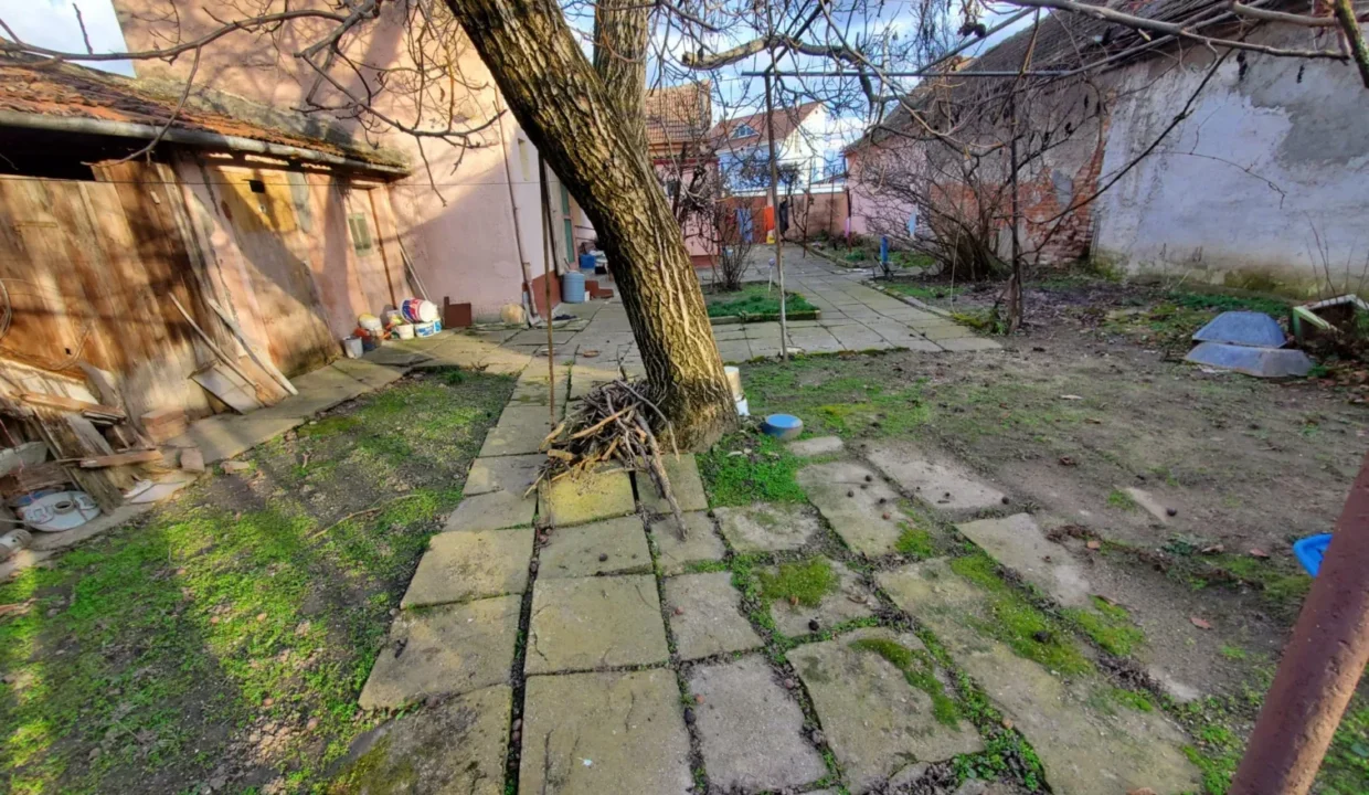 WhatsApp Image 2026-02-17 at 11.47.18