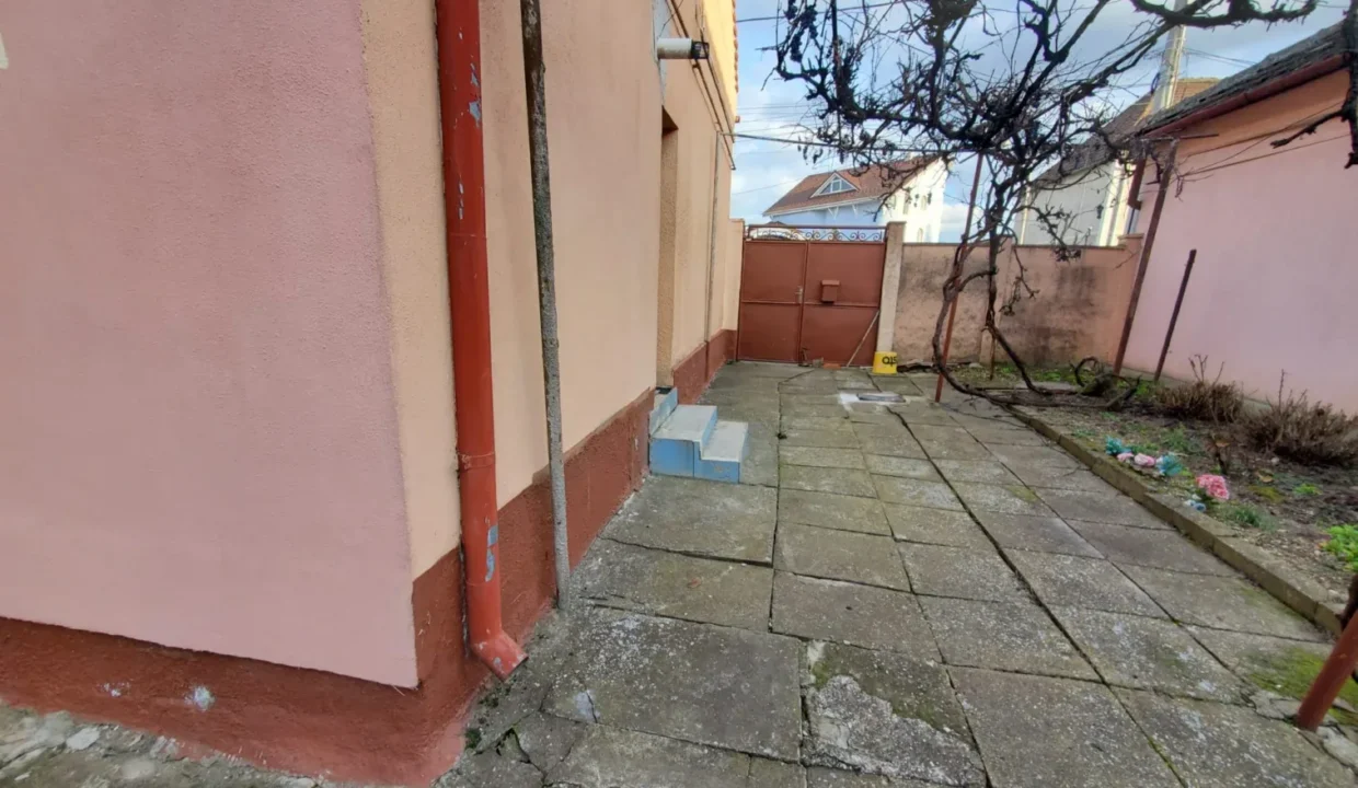 WhatsApp Image 2026-02-17 at 11.47.19 (1)