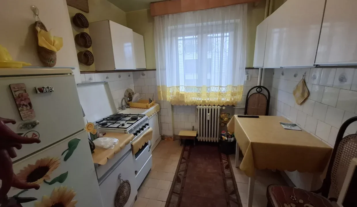 WhatsApp Image 2026-02-25 at 13.27.30